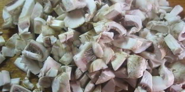 мясные рулетики с грибами