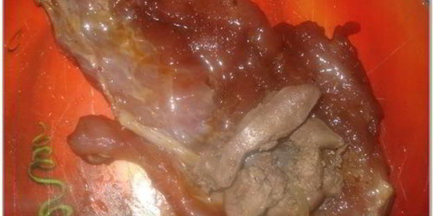 мясные рулетики с куриной печенью и перцем