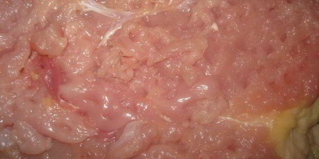 рулет из индейки с клюквой и яблоком