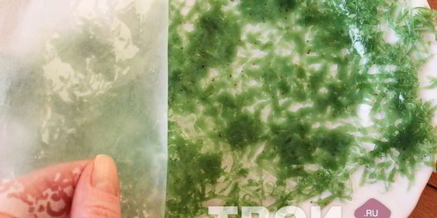 рулет из сыра