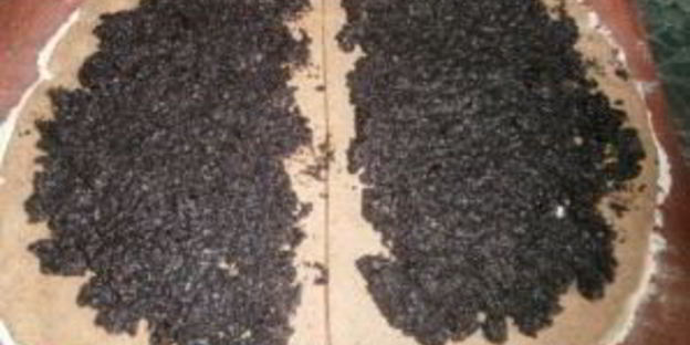 рулет из творожного теста с маком