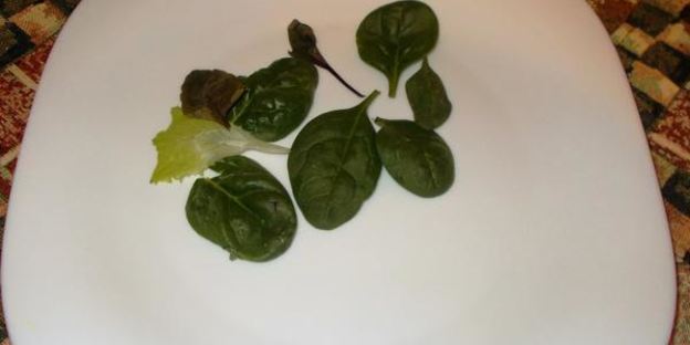 рулетики из свинины с черносливом и ореховым песто