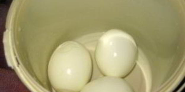 рулетики из жареных кабачков