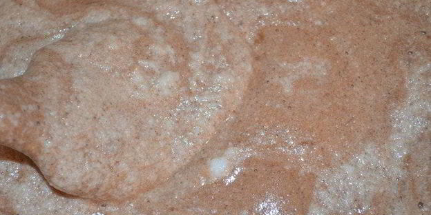 шоколадный рулет с грецкими орешками