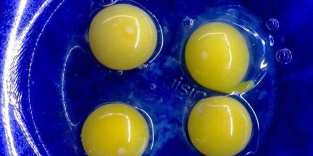 сыр филадельфия