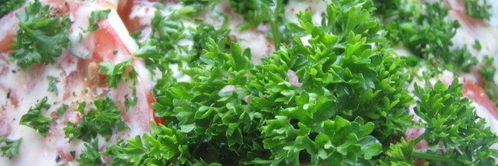 Закуска из баклажанов и помидоров