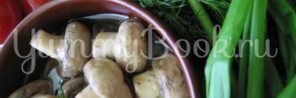 Закуска из грибов