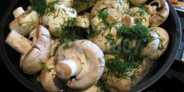 закуска из грибов