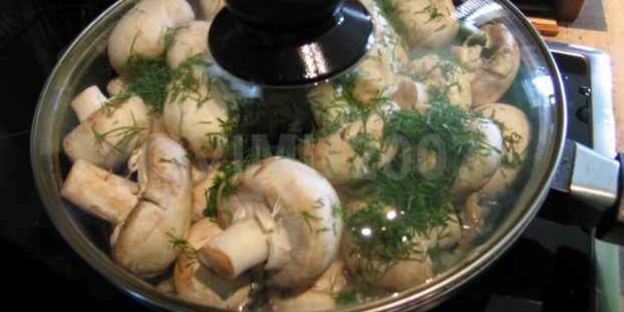 закуска из грибов