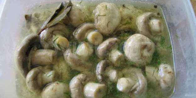 закуска из грибов