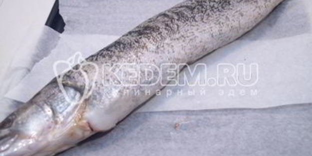 закуска по щучьему велению