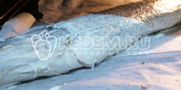 закуска по щучьему велению