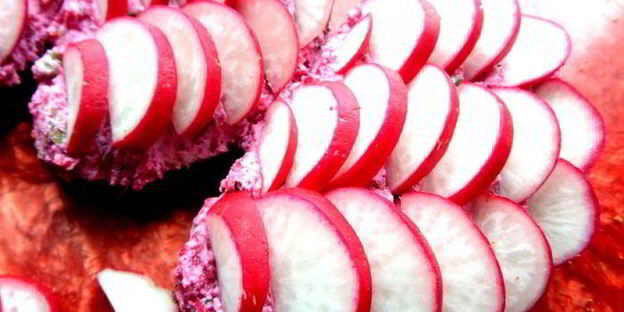 закуска редиска на творожке